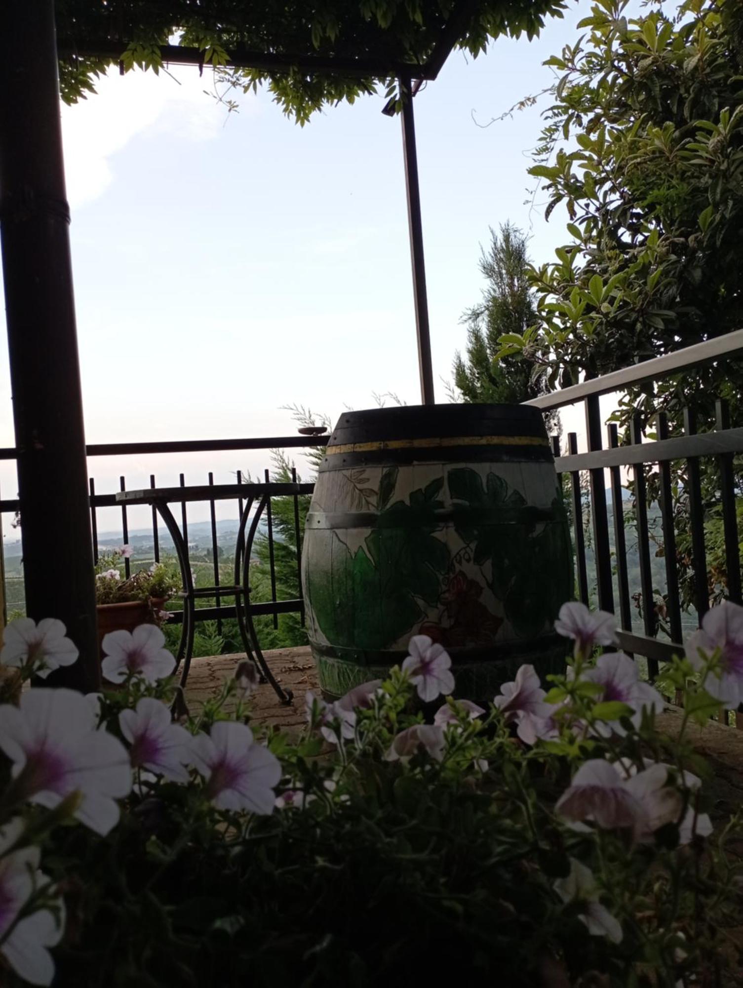 Casa Vacanza Il Colle Del Vento Calosso 外观 照片