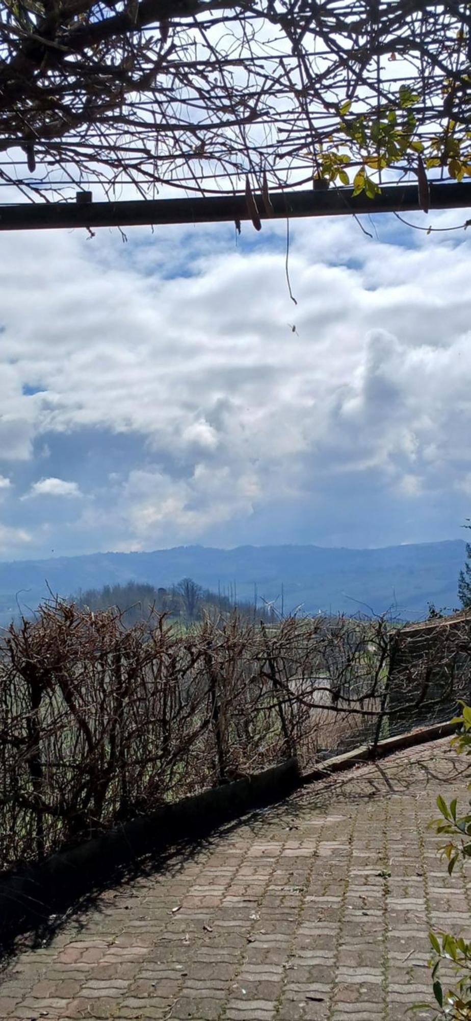 Casa Vacanza Il Colle Del Vento Calosso 外观 照片
