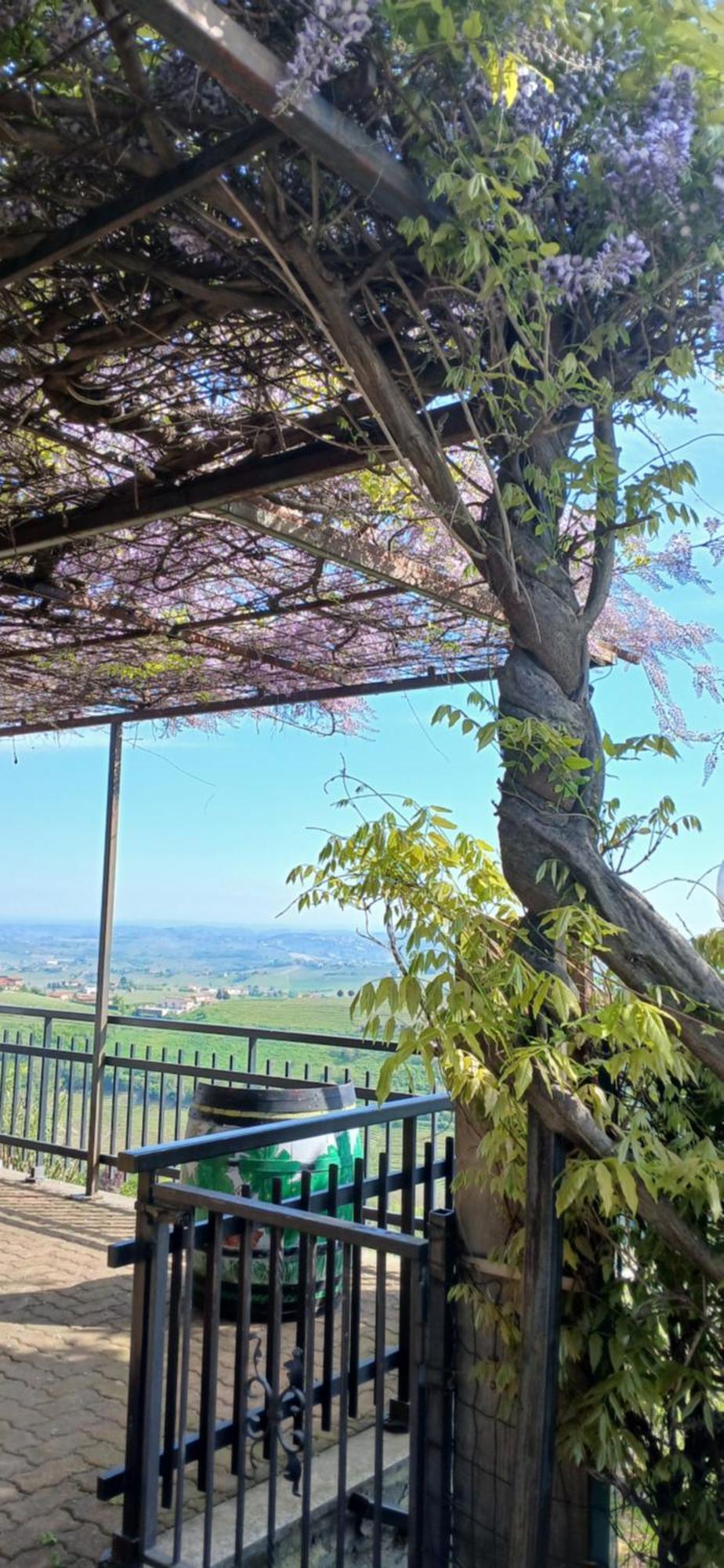 Casa Vacanza Il Colle Del Vento Calosso 外观 照片