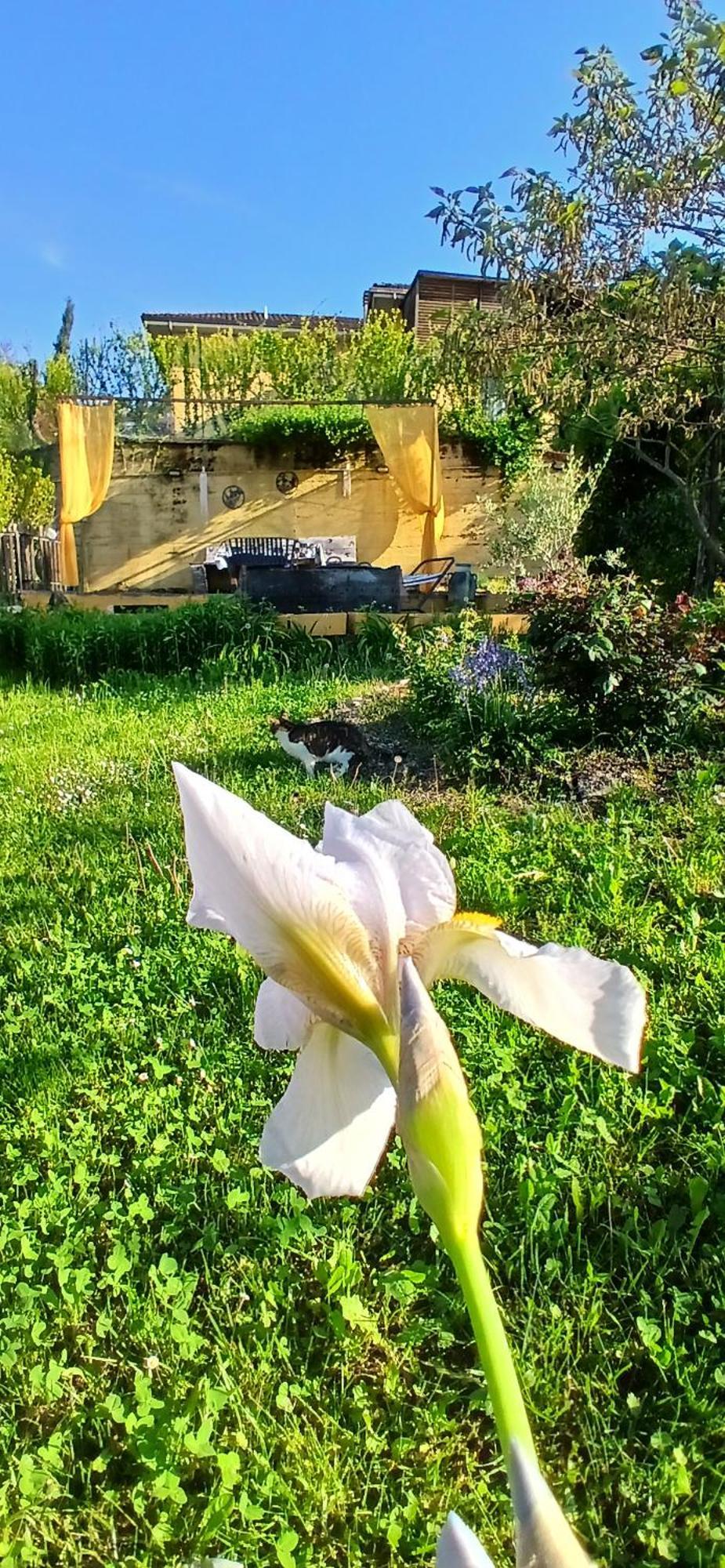 Casa Vacanza Il Colle Del Vento Calosso 外观 照片